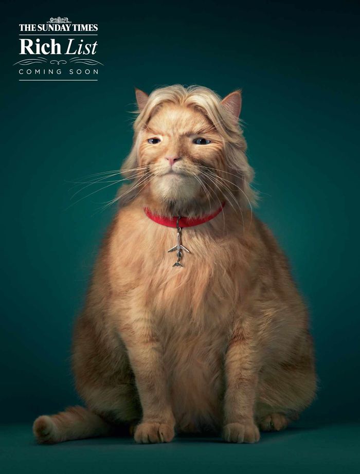 funny-ads-with-animals-17 funny-ads-with-animals-17