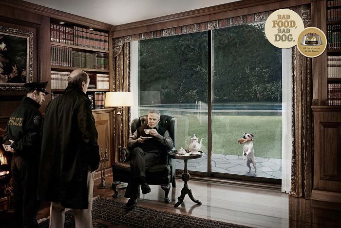 funny-ads-with-animals-39 funny-ads-with-animals-39