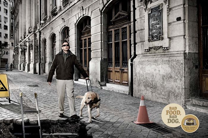 funny-ads-with-animals-41 funny-ads-with-animals-41