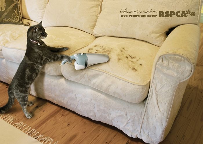 funny-ads-with-animals-48 funny-ads-with-animals-48