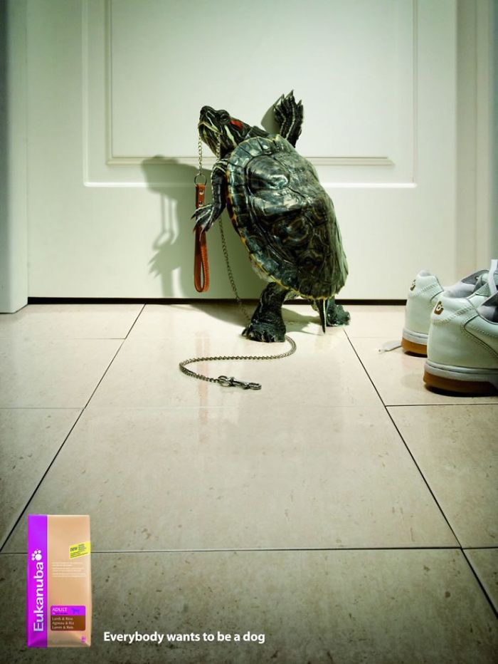 funny-ads-with-animals-52 funny-ads-with-animals-52