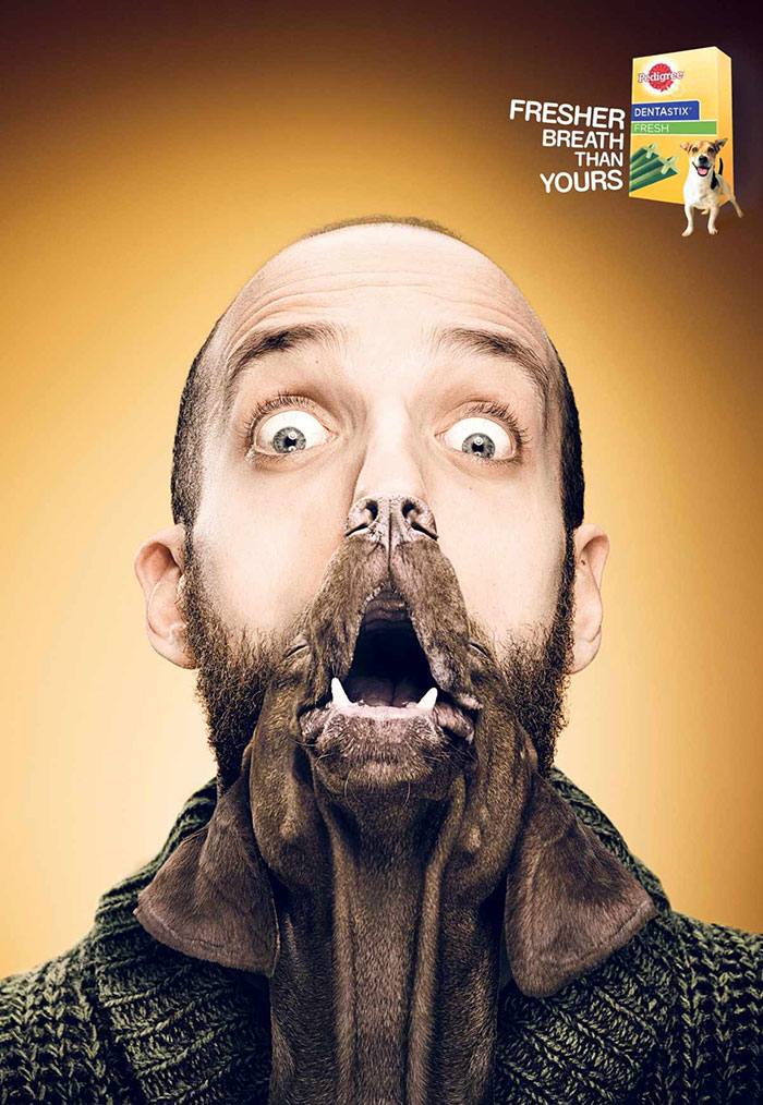 funny-ads-with-animals-56 funny-ads-with-animals-56