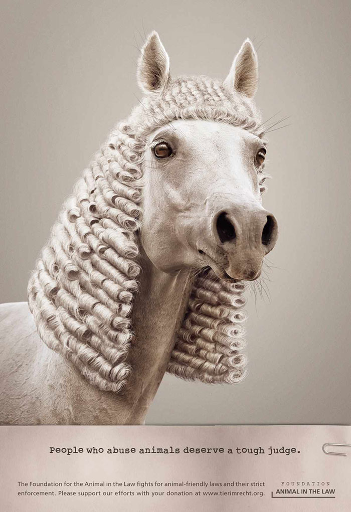 funny-ads-with-animals-58 funny-ads-with-animals-58