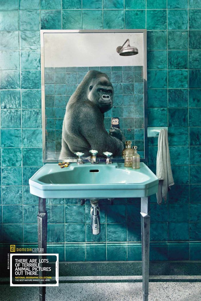 funny-ads-with-animals-6 funny-ads-with-animals-6