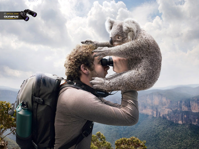 funny-ads-with-animals-64 funny-ads-with-animals-64