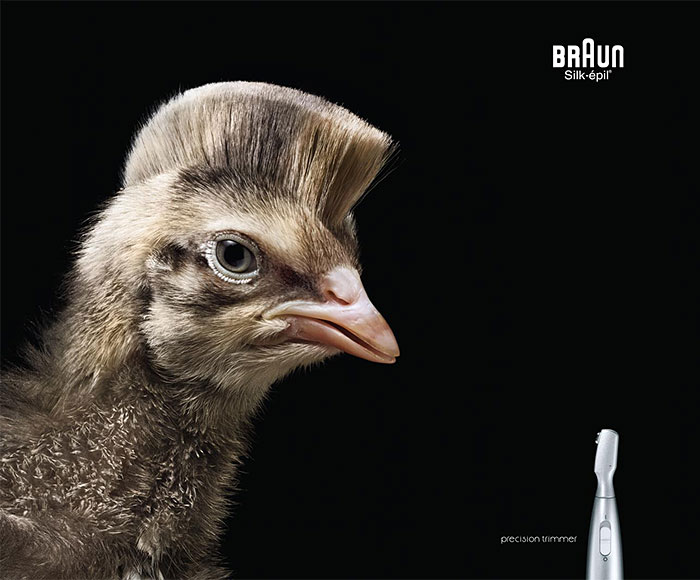 funny-ads-with-animals-73 funny-ads-with-animals-73