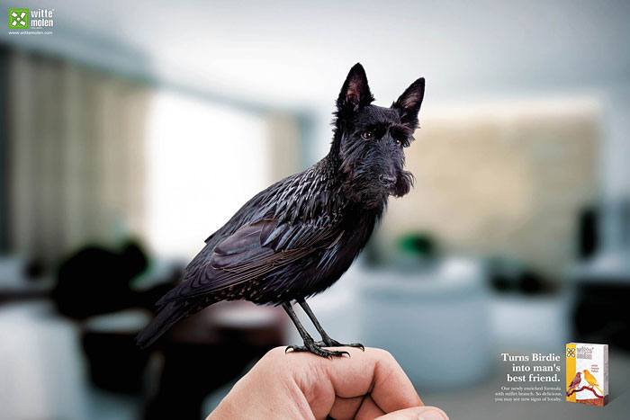 funny-ads-with-animals-74 funny-ads-with-animals-74
