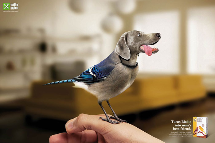 funny-ads-with-animals-75 funny-ads-with-animals-75