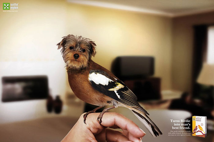 funny-ads-with-animals-76 funny-ads-with-animals-76