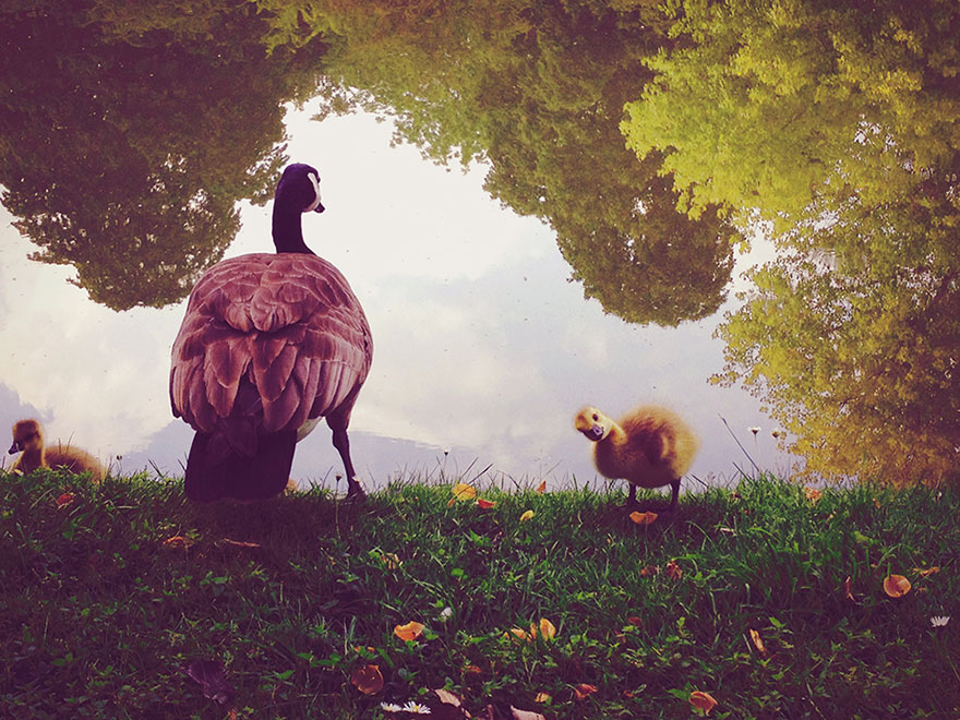 ippawards-iphone-ipad-photography-awards-2014-1a ippawards-iphone-ipad-photography-awards-2014-1a