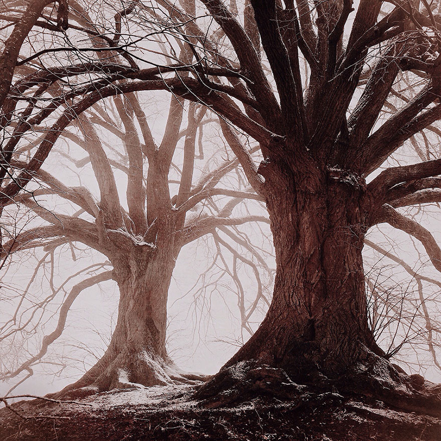 ippawards-iphone-ipad-photography-awards-2014-1f ippawards-iphone-ipad-photography-awards-2014-1f