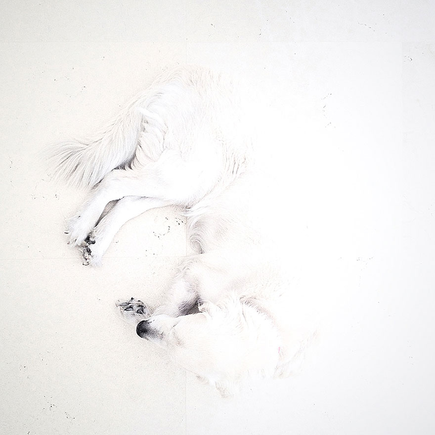 ippawards-iphone-ipad-photography-awards-2014-1g ippawards-iphone-ipad-photography-awards-2014-1g