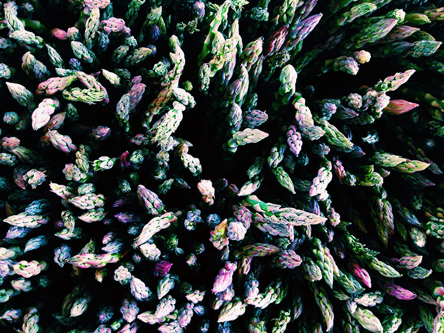 ippawards-iphone-ipad-photography-awards-2014-1o ippawards-iphone-ipad-photography-awards-2014-1o