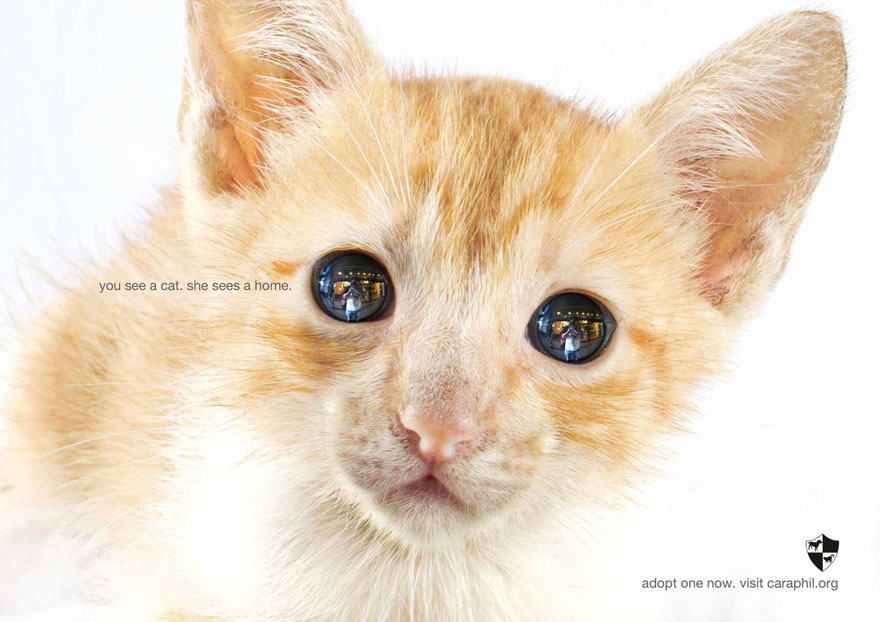 public-social-ads-animals-106 public-social-ads-animals-106