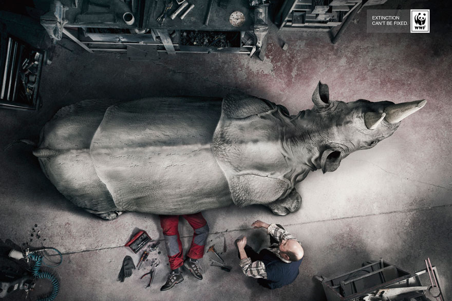 public-social-ads-animals-11 public-social-ads-animals-11