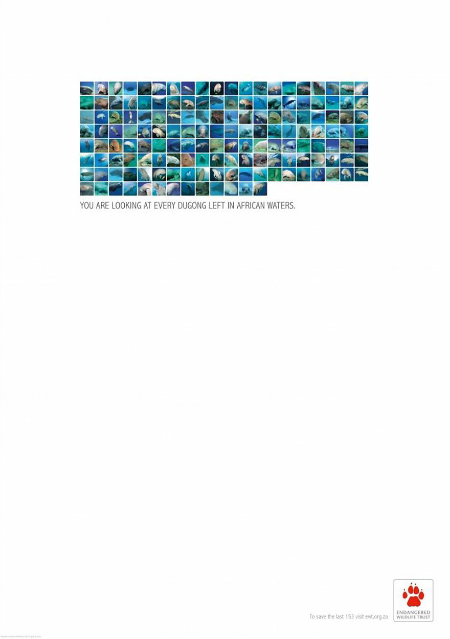 public-social-ads-animals-114 public-social-ads-animals-114