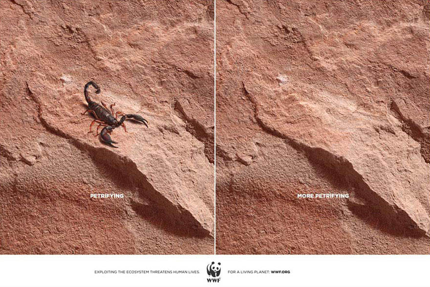 public-social-ads-animals-119 public-social-ads-animals-119