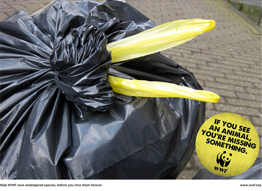 public-social-ads-animals-121 public-social-ads-animals-121