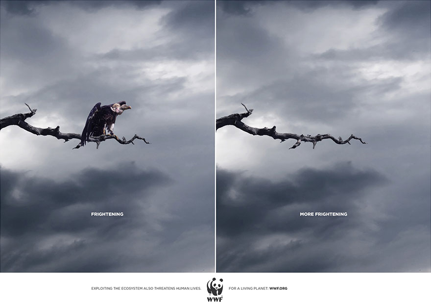 public-social-ads-animals-125 public-social-ads-animals-125