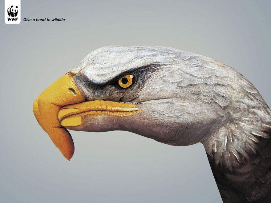 public-social-ads-animals-14 public-social-ads-animals-14