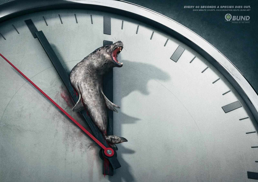 public-social-ads-animals-4 public-social-ads-animals-4