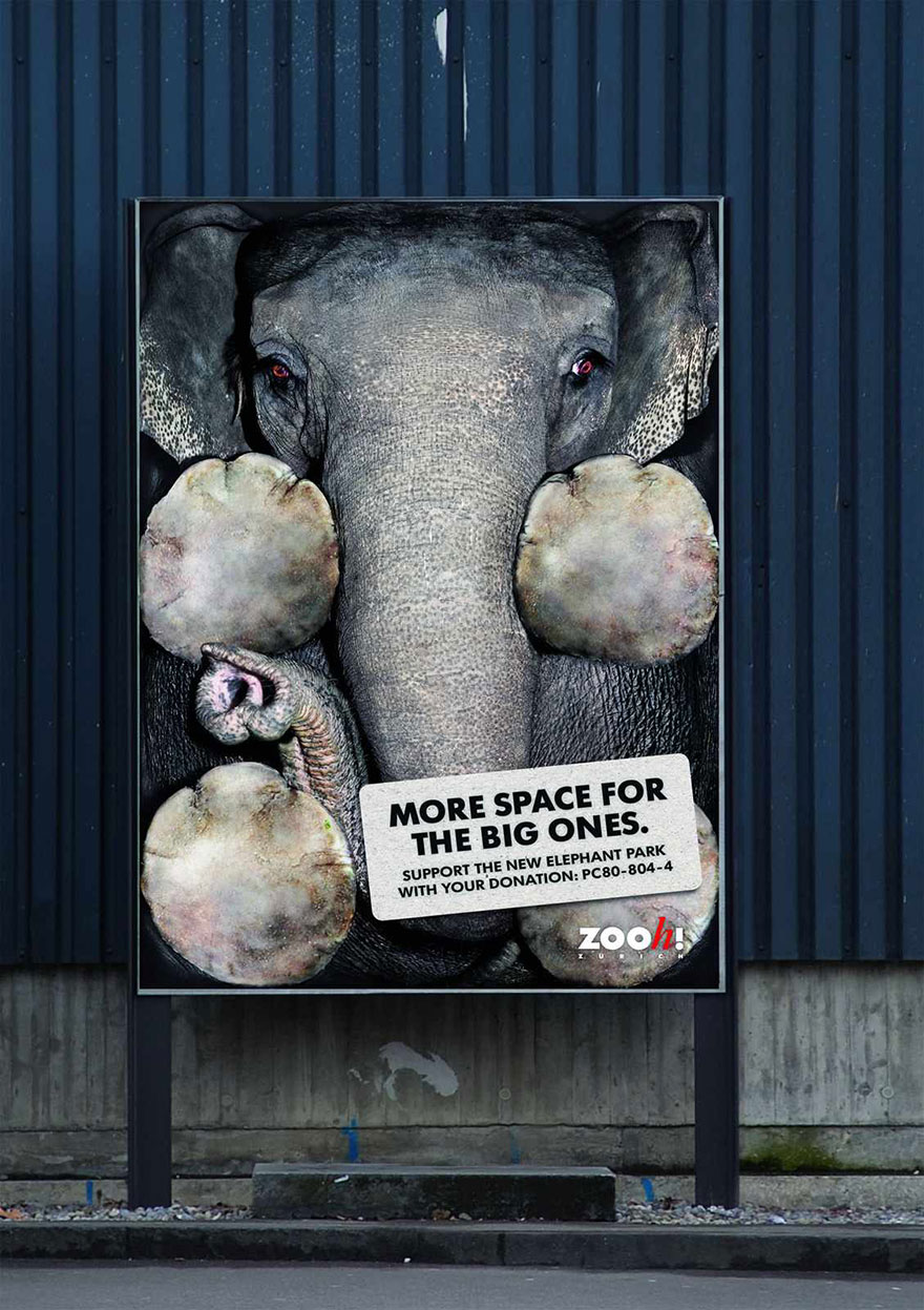 public-social-ads-animals-47 public-social-ads-animals-47
