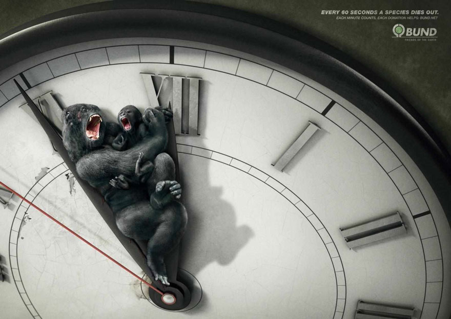 public-social-ads-animals-5 public-social-ads-animals-5