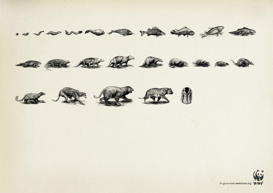 public-social-ads-animals-56 public-social-ads-animals-56