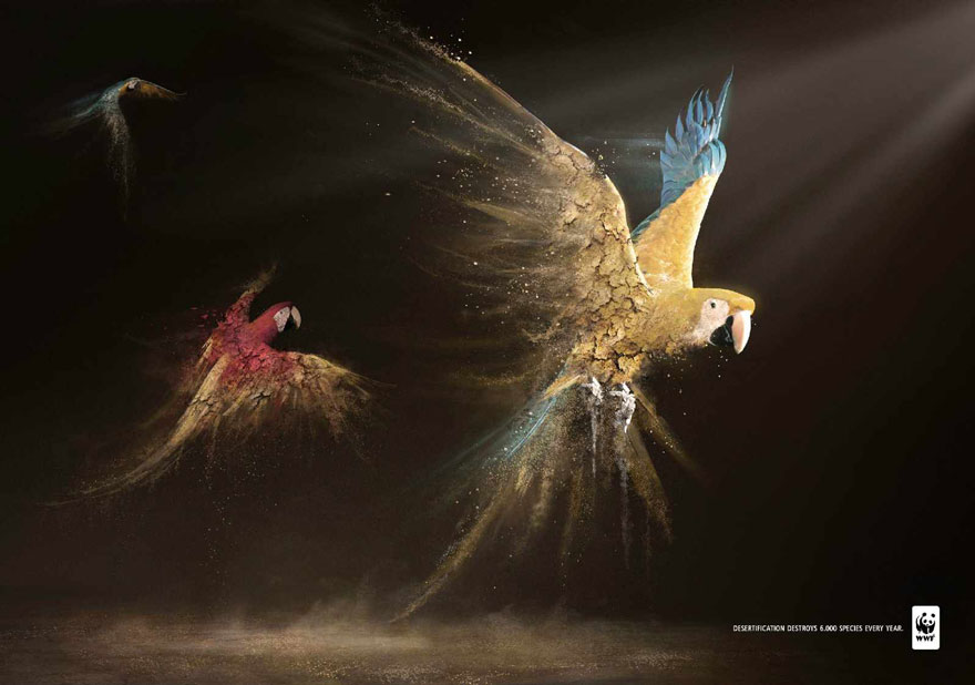 public-social-ads-animals-7 public-social-ads-animals-7