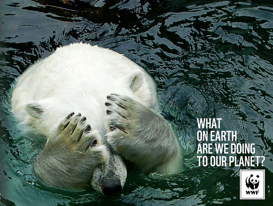 public-social-ads-animals-71 public-social-ads-animals-71