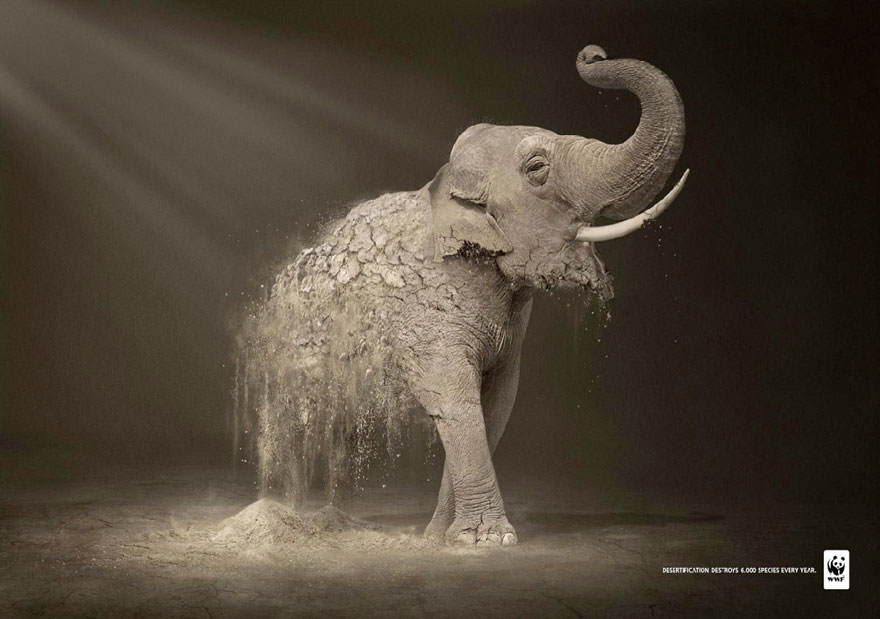 public-social-ads-animals-9 public-social-ads-animals-9
