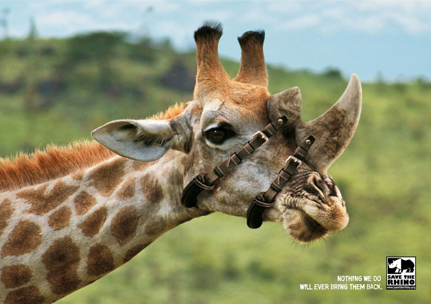 public-social-ads-animals-90 public-social-ads-animals-90