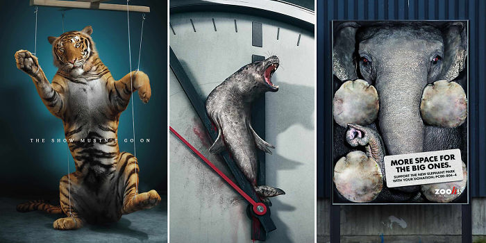 33 Powerful Animal Advertisement Examples That Tells The Uncomfortable Truth