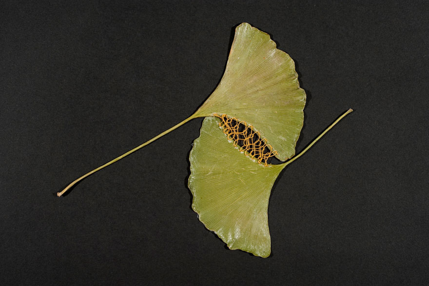 stitched-leaves-embroidery-hillary-fayle-6 stitched-leaves-embroidery-hillary-fayle-6