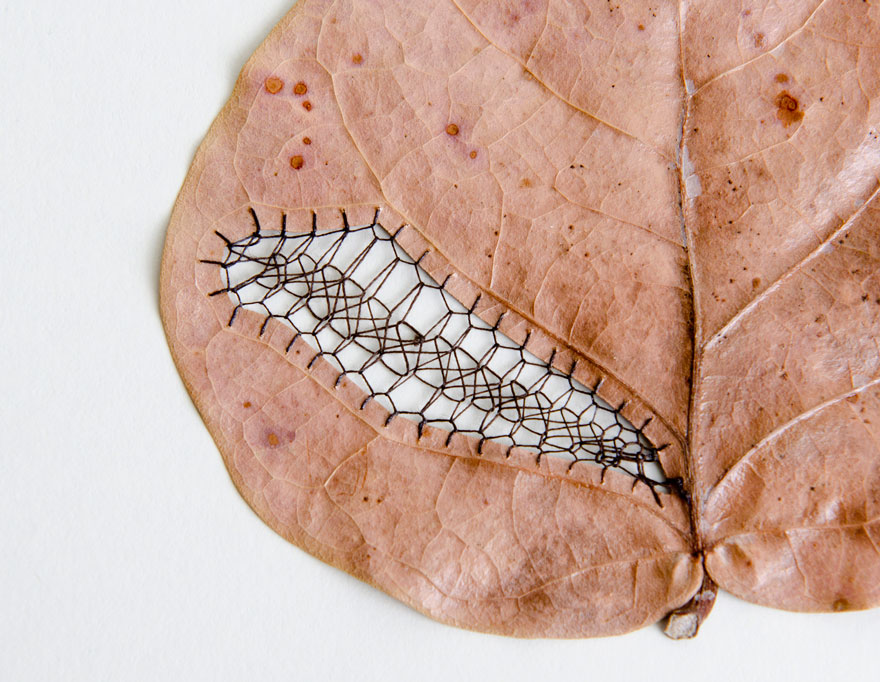 stitched-leaves-embroidery-hillary-fayle-8 stitched-leaves-embroidery-hillary-fayle-8