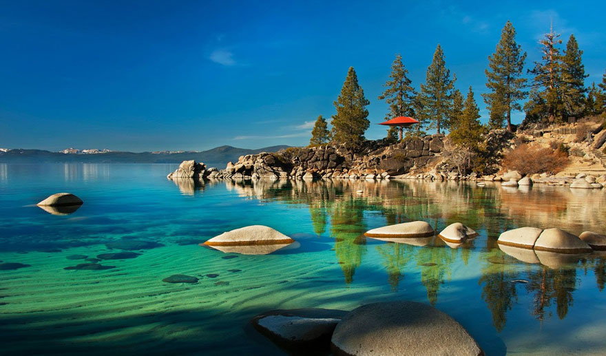 suspended-treehouse-tent-tentsile-alex-shirley-smith-2 suspended-treehouse-tent-tentsile-alex-shirley-smith-2