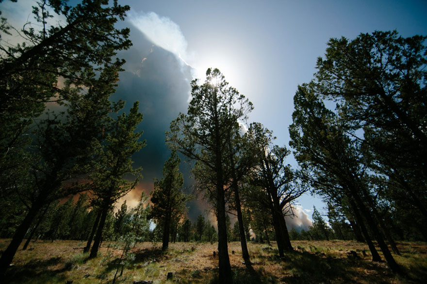 wildfire-bend-wedding-photo-josh-newton-12 wildfire-bend-wedding-photo-josh-newton-12