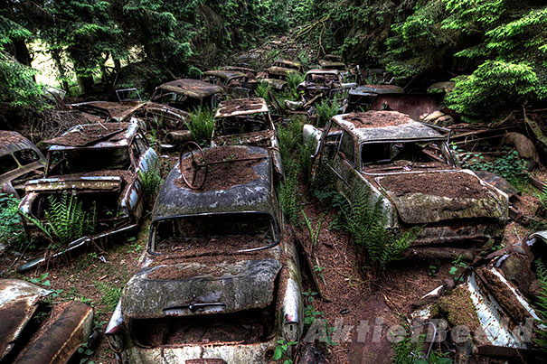 chatillon-car-graveyard-abandoned-cars-cemetery-belgium-10 chatillon-car-graveyard-abandoned-cars-cemetery-belgium-10