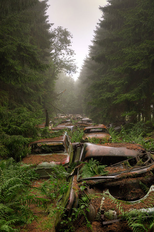 chatillon-car-graveyard-abandoned-cars-cemetery-belgium-4 chatillon-car-graveyard-abandoned-cars-cemetery-belgium-4