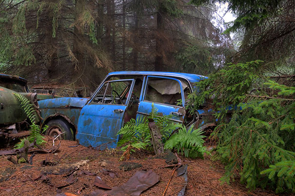 chatillon-car-graveyard-abandoned-cars-cemetery-belgium-5 chatillon-car-graveyard-abandoned-cars-cemetery-belgium-5