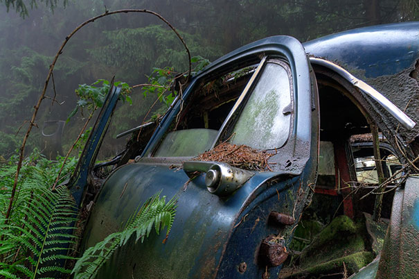 chatillon-car-graveyard-abandoned-cars-cemetery-belgium-6 chatillon-car-graveyard-abandoned-cars-cemetery-belgium-6