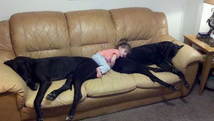 cute-big-dogs-and-babies-11 cute-big-dogs-and-babies-11