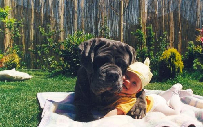 cute-big-dogs-and-babies-3 cute-big-dogs-and-babies-3