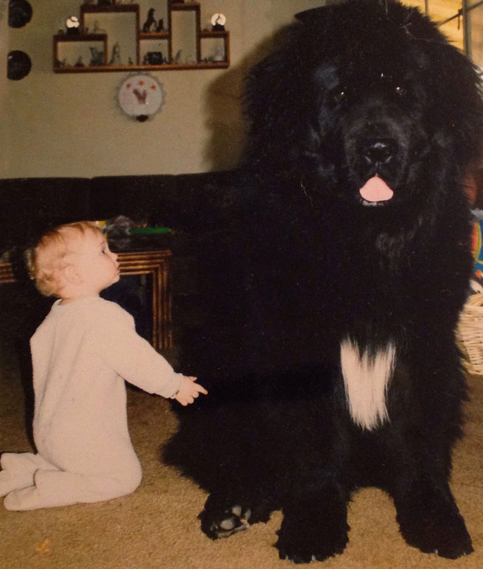 cute-big-dogs-and-babies-4 cute-big-dogs-and-babies-4