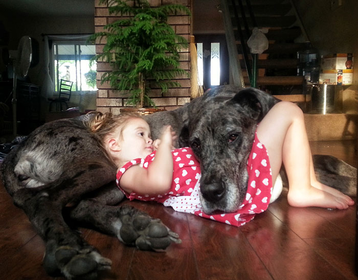 cute-big-dogs-and-babies-5 cute-big-dogs-and-babies-5