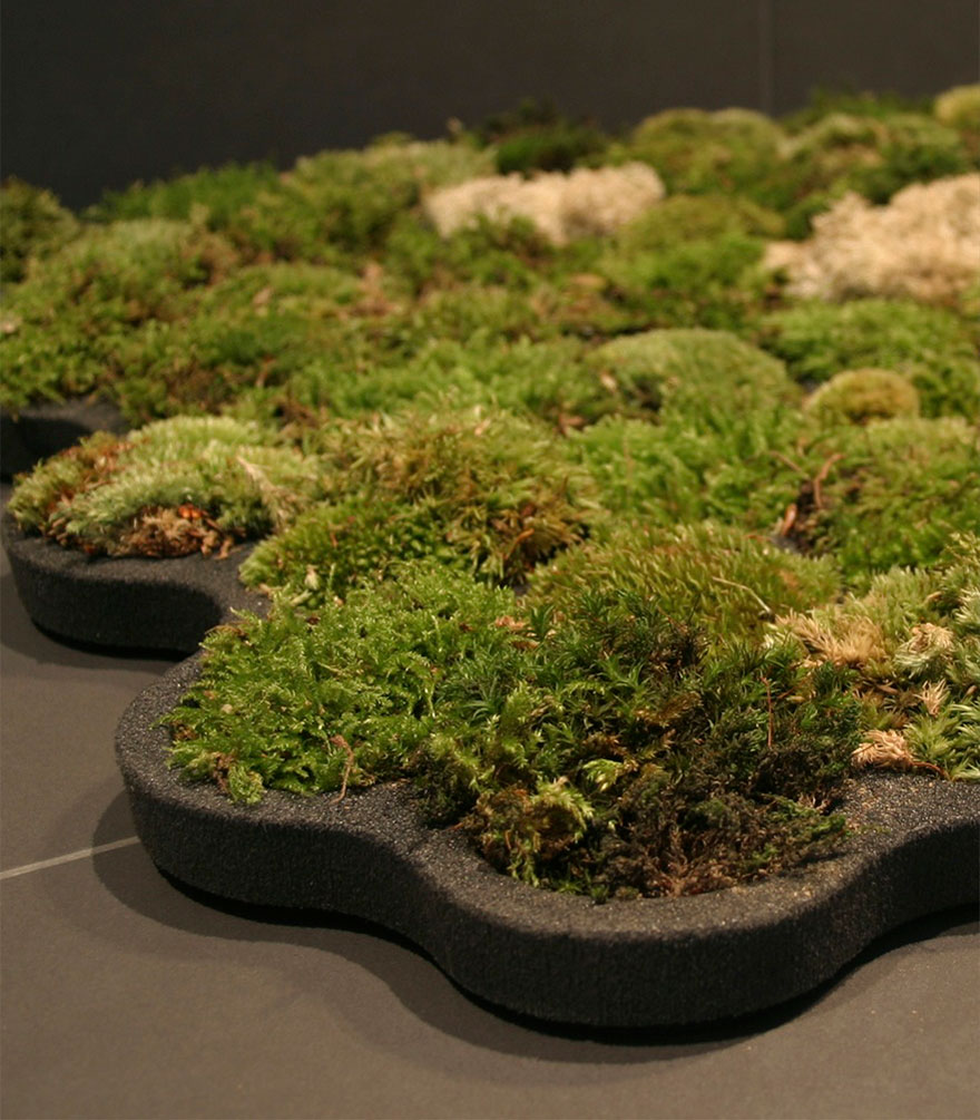 green-design-ideas-inspired-by-nature-2-2-1 green-design-ideas-inspired-by-nature-2-2-1