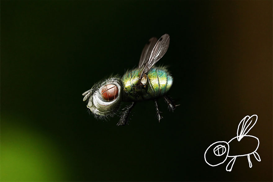 kiddie-arts-telmo-pieper-3 kiddie-arts-telmo-pieper-3