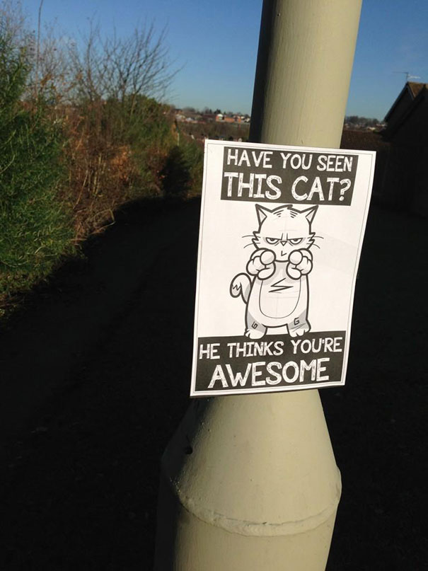 motivational-sticky-notes-cartoon-cat-october-jones-13