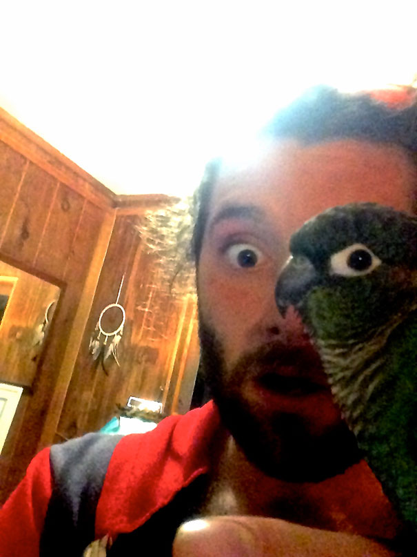 perfectly-timed-photos-4 perfectly-timed-photos-4