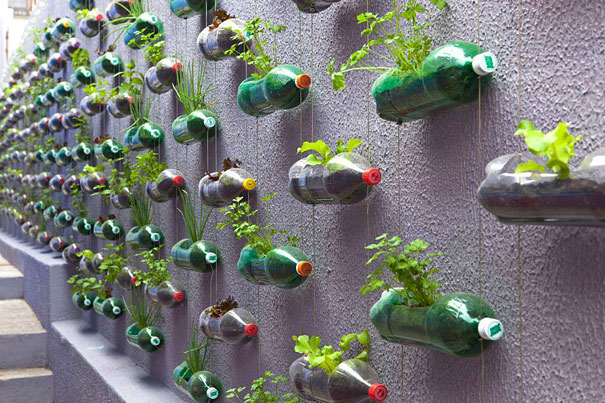 Vertical garden using recycled plastic bottles mounted on a wall, showcasing creative recycling ideas. Vertical garden using recycled plastic bottles mounted on a wall, showcasing creative recycling ideas.
